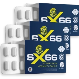 SX66 im 3er-Set – 90-Tage-Vorrat mit drei Packungen