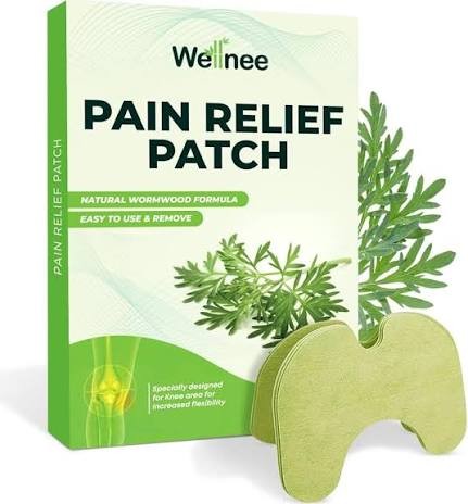Wellnee Pain Relief Schmerzpflaster mit Verpackung und Wermutkraut